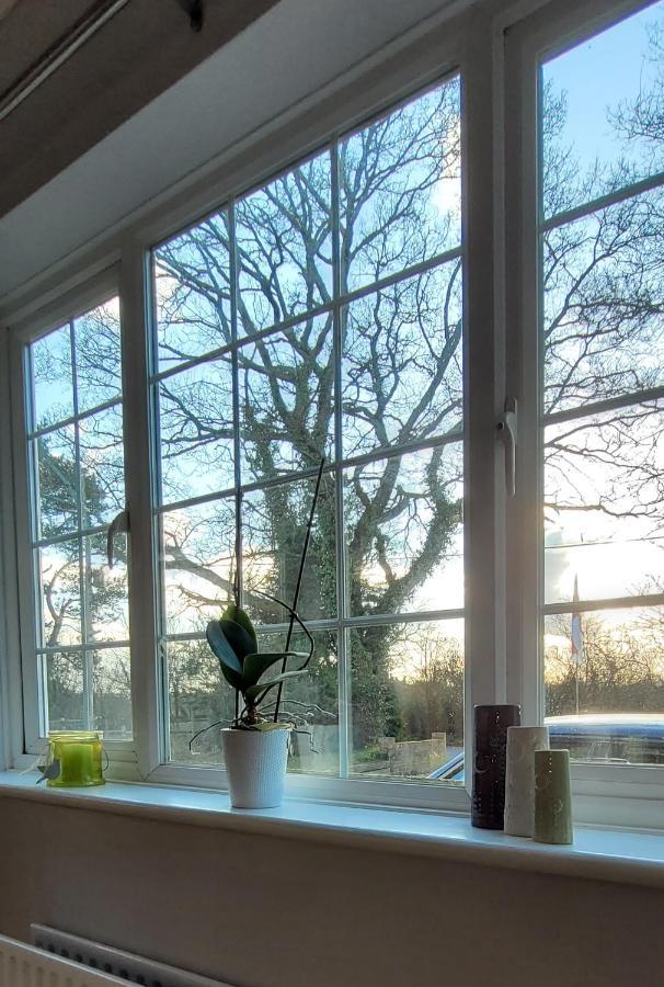 Bed and Breakfast Ha'Penny Acre Sherfield English Zewnętrze zdjęcie